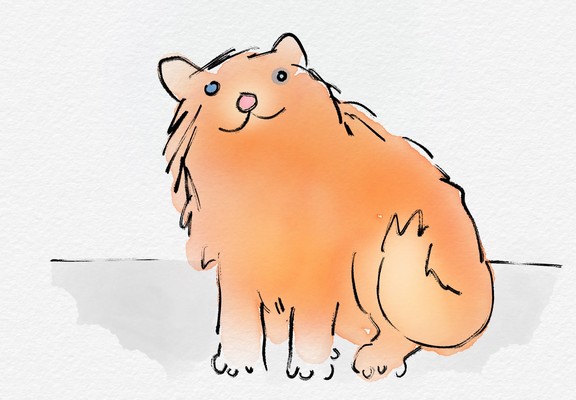 Schnelle digitale Zeichnung: struppige rote Katze.
