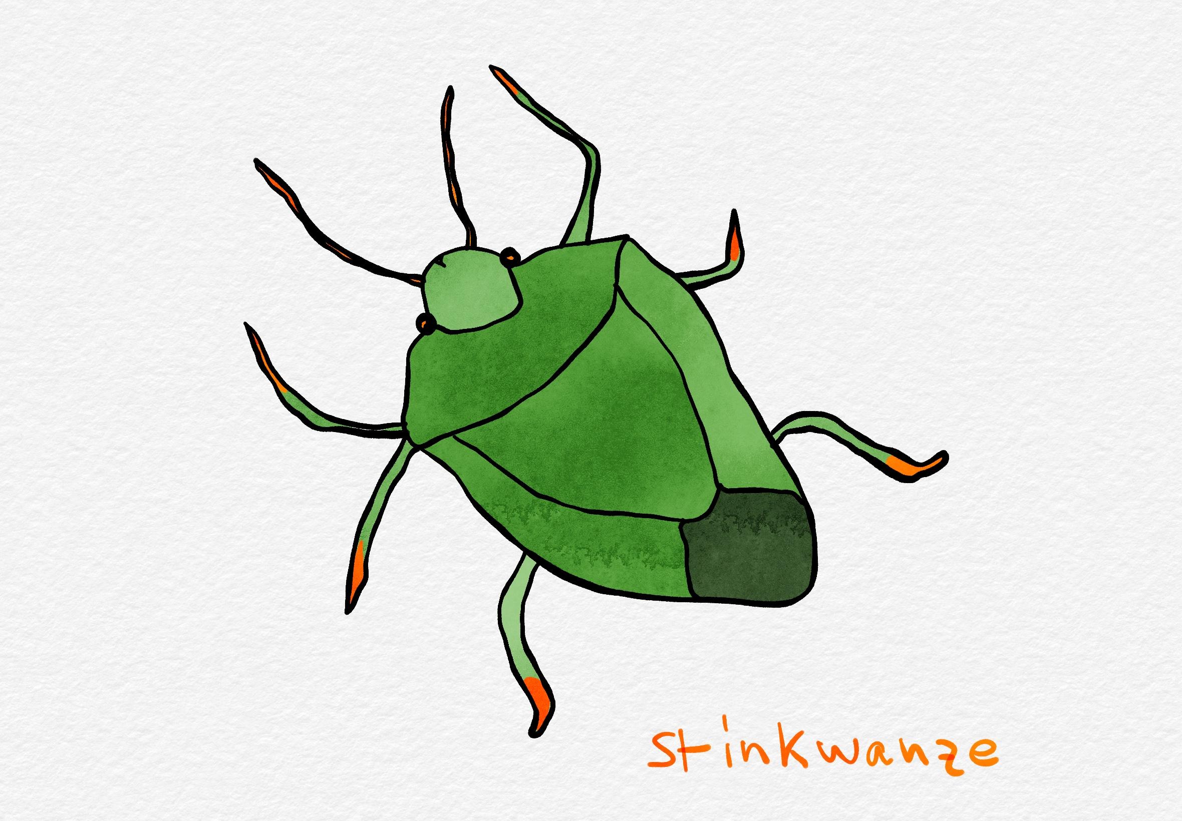 Schnelle digitale Zeichnung: grüne, schildförmige Wanze.